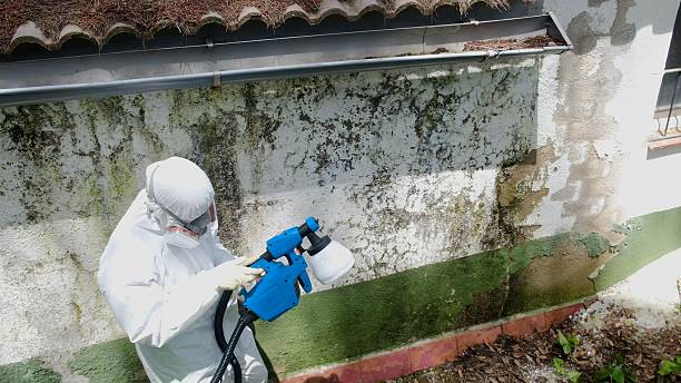 Top rated local Mold Remediation specialists in Huntingdon, PA